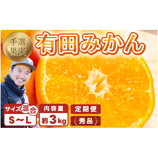【まごころ手選別】【3ヶ月定期便】有田みかん 秀品 約3kg(S〜Lサイズ混合)※2025年11月上旬頃から1カ月に1回(計3回)発送和歌山県美浜町24000果物・フルーツみかん・柑橘類