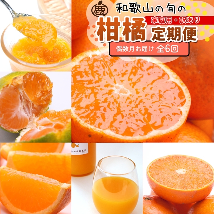 【定期便】家庭用 柑橘定期便 S 6回(偶数月)※北海道・沖縄・離島への配送不可※偶数月に発送和歌山県美浜町51000果物・フルーツみかん・柑橘類