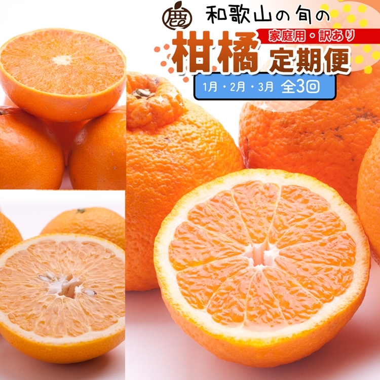 【定期便】家庭用 柑橘定期便 S 3回(1〜3月)※北海道・沖縄・離島への配送不可※1月・2月・3月に発送和歌山県美浜町28000果物・フルーツみかん・柑橘類