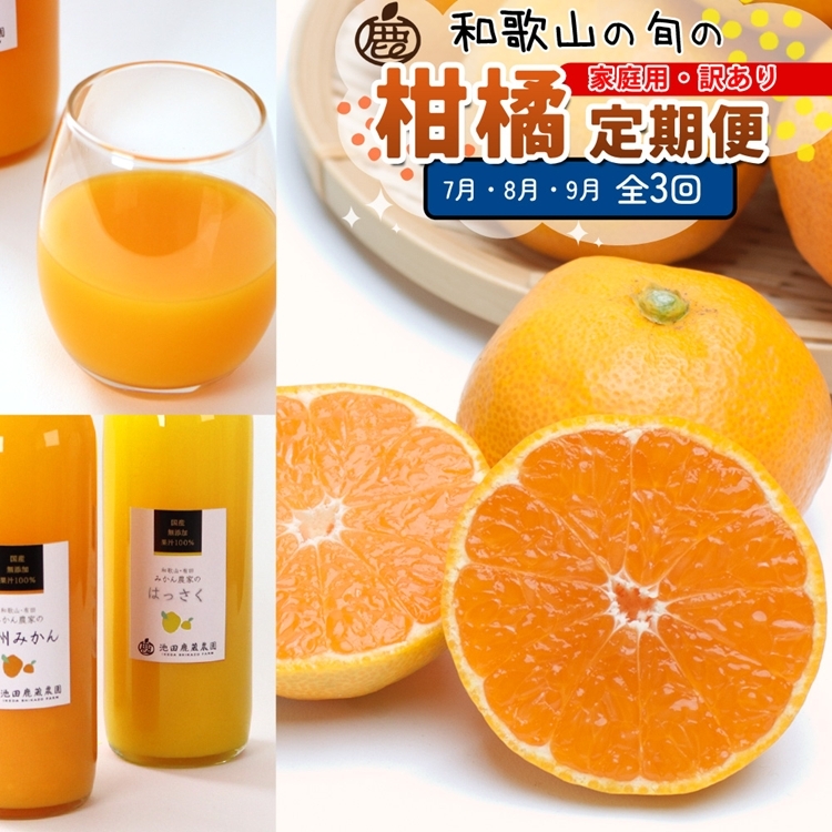 【定期便】家庭用 柑橘定期便 S 3回(7〜9月)※北海道・沖縄・離島への配送不可※7月・8月・9月に発送和歌山県美浜町28000果物・フルーツみかん・柑橘類