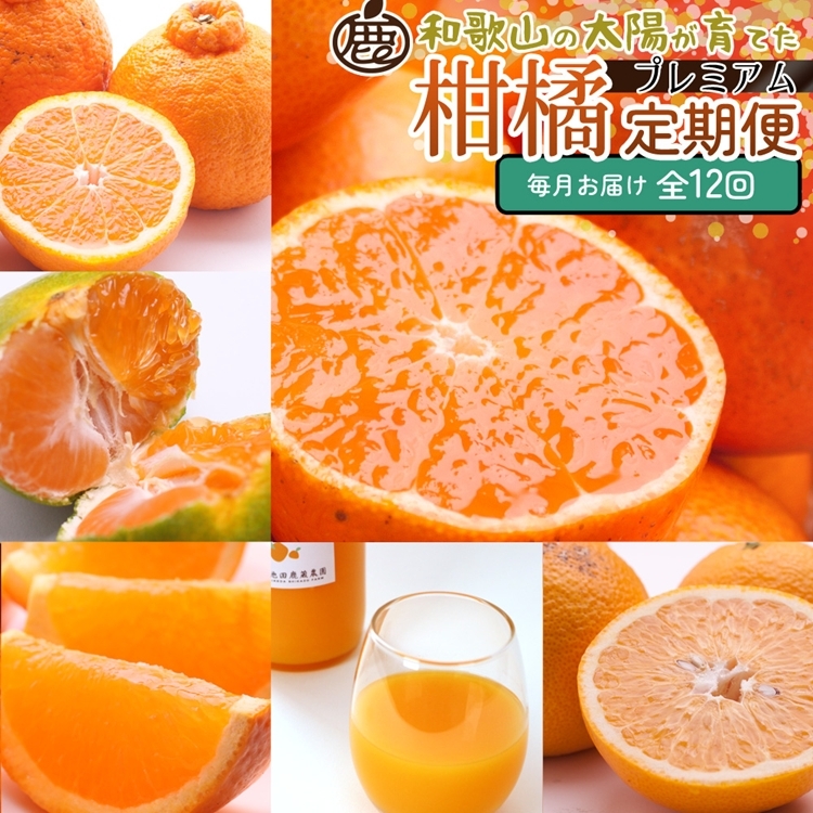 【定期便】厳選 柑橘定期便 M 12回(毎月)※北海道・沖縄・離島への配送不可※毎月発送和歌山県美浜町193000果物・フルーツみかん・柑橘類