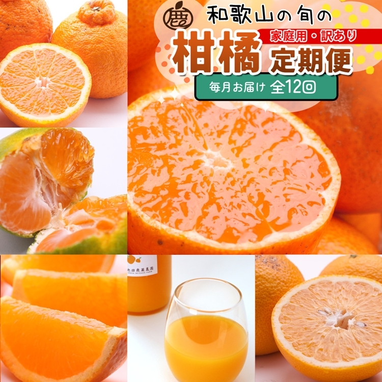 【定期便】家庭用 柑橘定期便 M 12回(毎月)※北海道・沖縄・離島への配送不可※毎月発送和歌山県美浜町165000果物・フルーツみかん・柑橘類