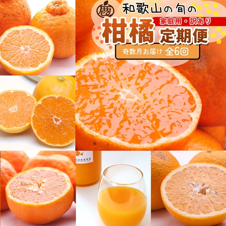 【定期便】家庭用 柑橘定期便 M 6回(奇数月)※北海道・沖縄・離島への配送不可※奇数月に発送和歌山県美浜町80000果物・フルーツみかん・柑橘類