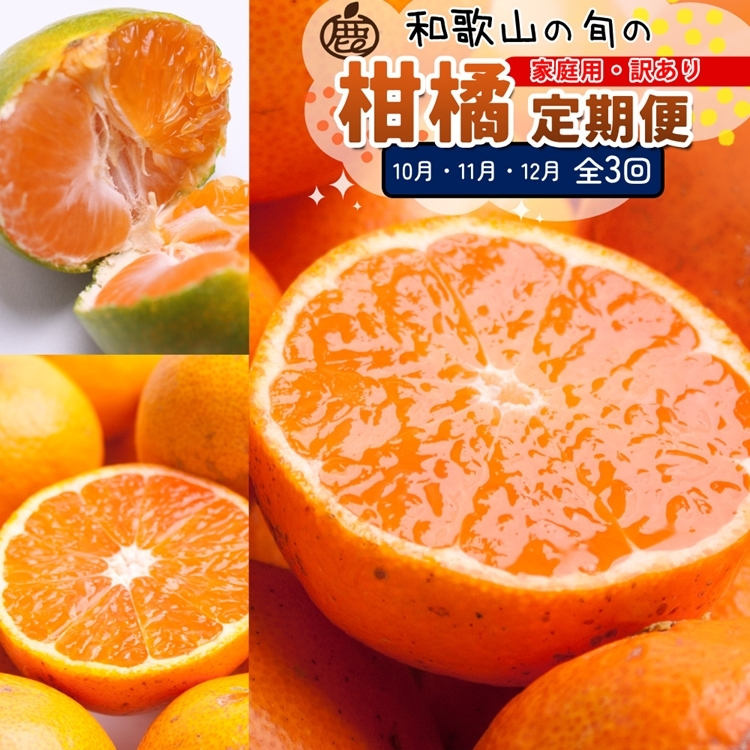 【定期便】家庭用 柑橘定期便 M 3回(10〜12月)※北海道・沖縄・離島への配送不可※10月・11月・12月に発送和歌山県美浜町33000果物・フルーツみかん・柑橘類