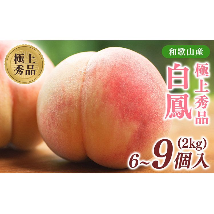 先行受付! 桃の王様【白鳳】 特秀品 約2kg 6〜9個入和歌山県美浜町17000果物・フルーツもも・すもも