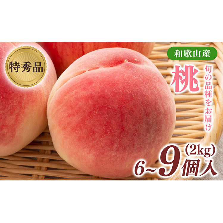 st!@{̓@(Gi)@2kg@6`9a̎Rl17000ʕEt[cE