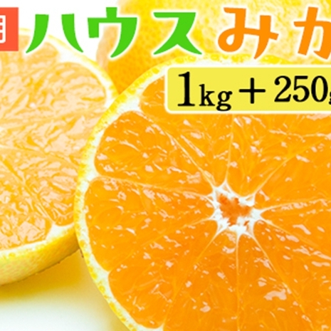 家庭用 ハウスみかん1kg+250g(傷み補償分)和歌山県美浜町10000果物・フルーツみかん・柑橘類