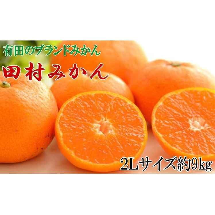 【ブランドみかん】田村みかん大玉約9kg(2Lサイズ)和歌山県美浜町15000果物・フルーツみかん・柑橘類