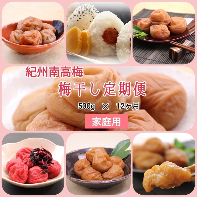 【発送月固定定期便】紀州南高梅 7種の風味 500g×12ヶ月 ご家庭用全12回和歌山県美浜町110000鍋セット・総菜・加工食品漬物・梅干・キムチ