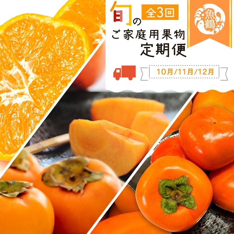〈定期便〉【10・11・12月 全3回】紀州和歌山産旬のご家庭用果物セット(ひらたね・富有柿・みかん)和歌山県美浜町42000果物・フルーツその他 果物・フルーツ