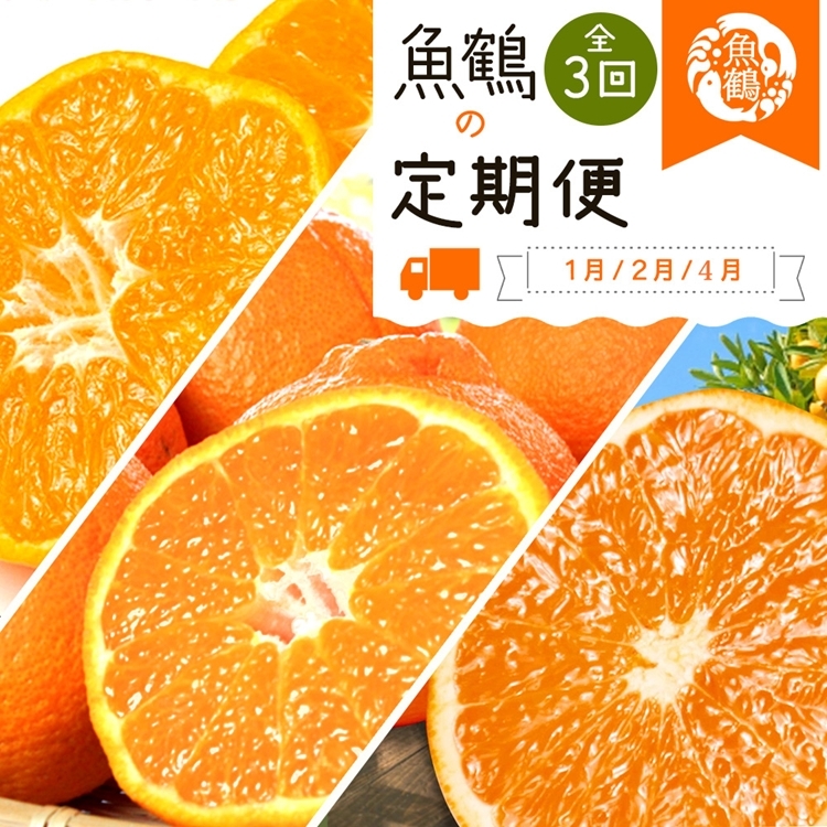 〈定期便〉【1・2・4月 全3回】紀州和歌山産旬の柑橘セット(みかん・不知火・清見)和歌山県美浜町42000果物・フルーツみかん・柑橘類