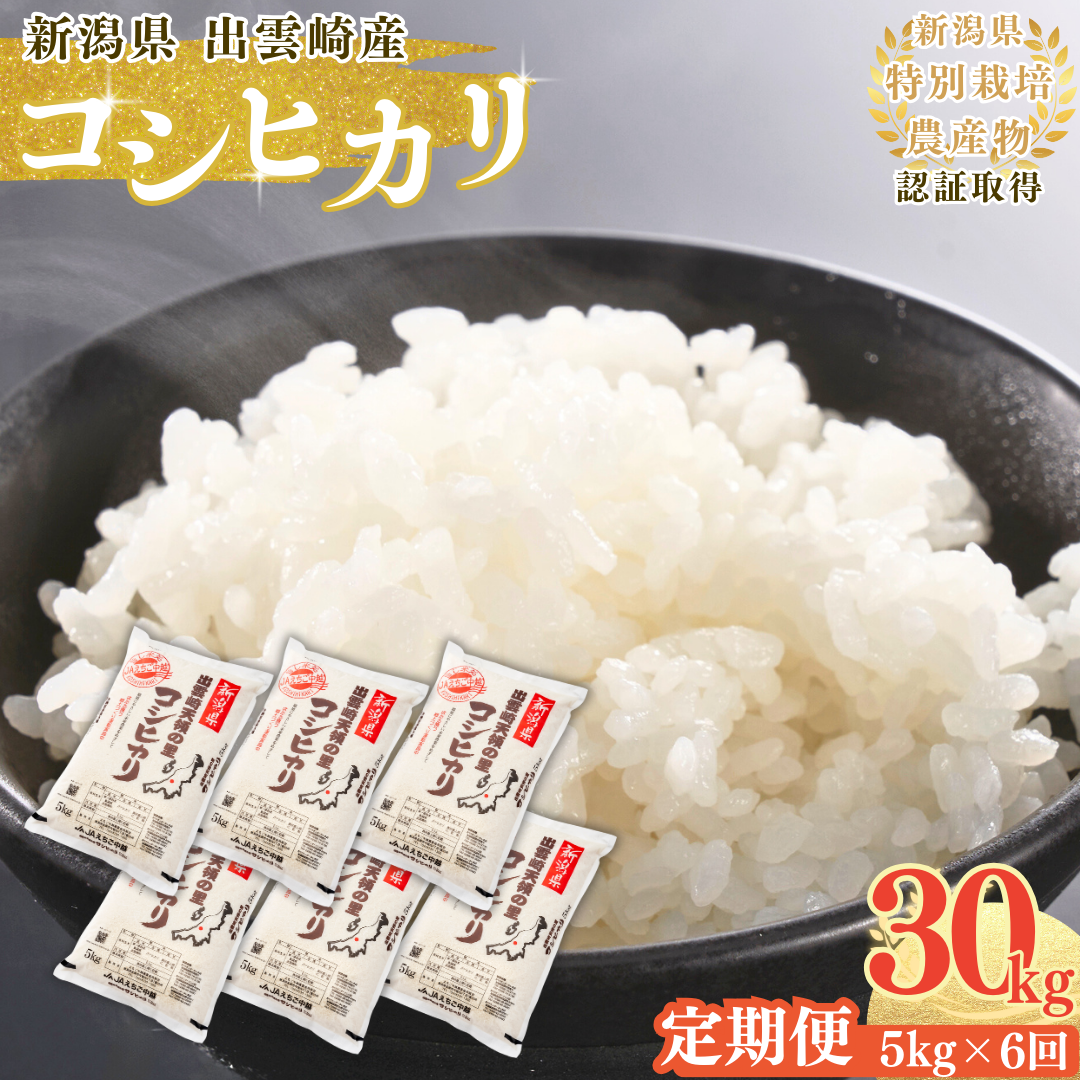 yߘa7NYVāz ʍ͔| RVqJ uV̗̂v  5kg 6 VY o_蒬Y    v30kg ЂVo_蒬102000āEp