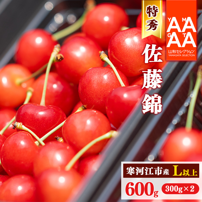 【先行予約】令和8年産 特秀品 さくらんぼ「 佐藤錦 」600g (300g×2パック) Lサイズ以上 2026年産 山形県産 【2026年6月上旬頃〜下旬頃発送予定】 ※配送不可 沖縄・離島 026-A-AF002山形県寒河江市2