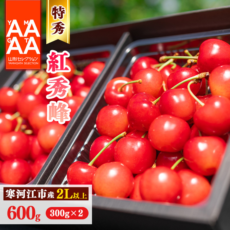 ys\zߘa8NY Gi ځu gG v600g (300g×2pbN) 2Lȏ 2026NY R`Y y2026N6{`7{\z zs E 032-A-AF022R`͍]s32000