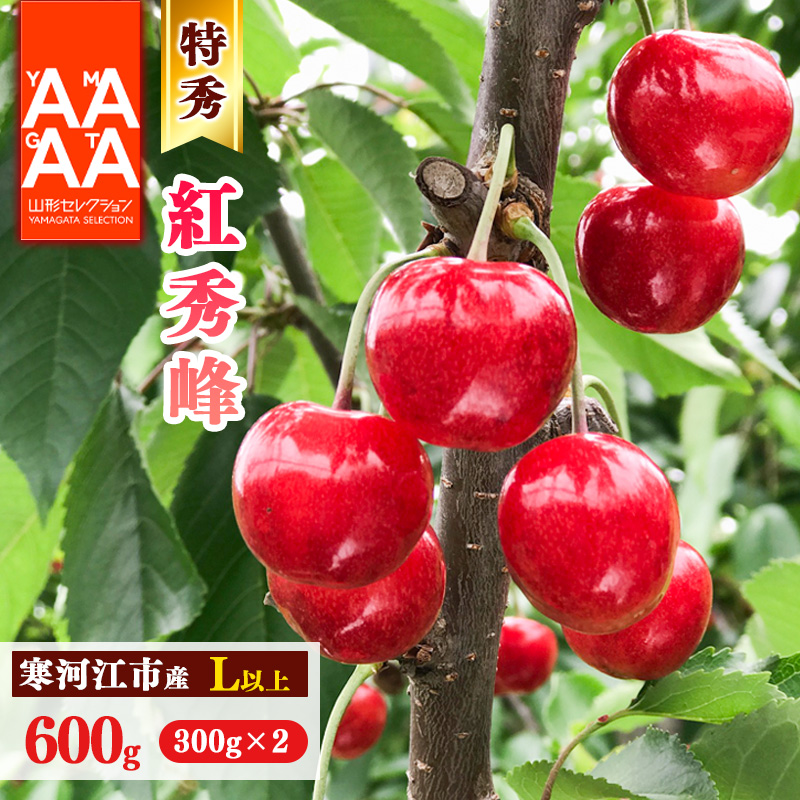 【先行予約】令和8年産 特秀品 さくらんぼ「 紅秀峰 」600g (300g×2パック) L以上 2026年産 山形県産 【2026年6月中旬頃〜7月上旬頃発送予定】 ※配送不可 沖縄・離島 023-A-AF027山形県寒河江市23000
