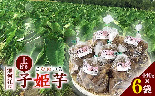 令和7年産 里芋 「子姫芋(こひめいも)土付」2.6kg以上 (440g×6袋) 山形県産 2025年産【2025年9月下旬頃から11月上旬頃配送予定】 014-B-CS001山形県寒河江市14000野菜・きのこ