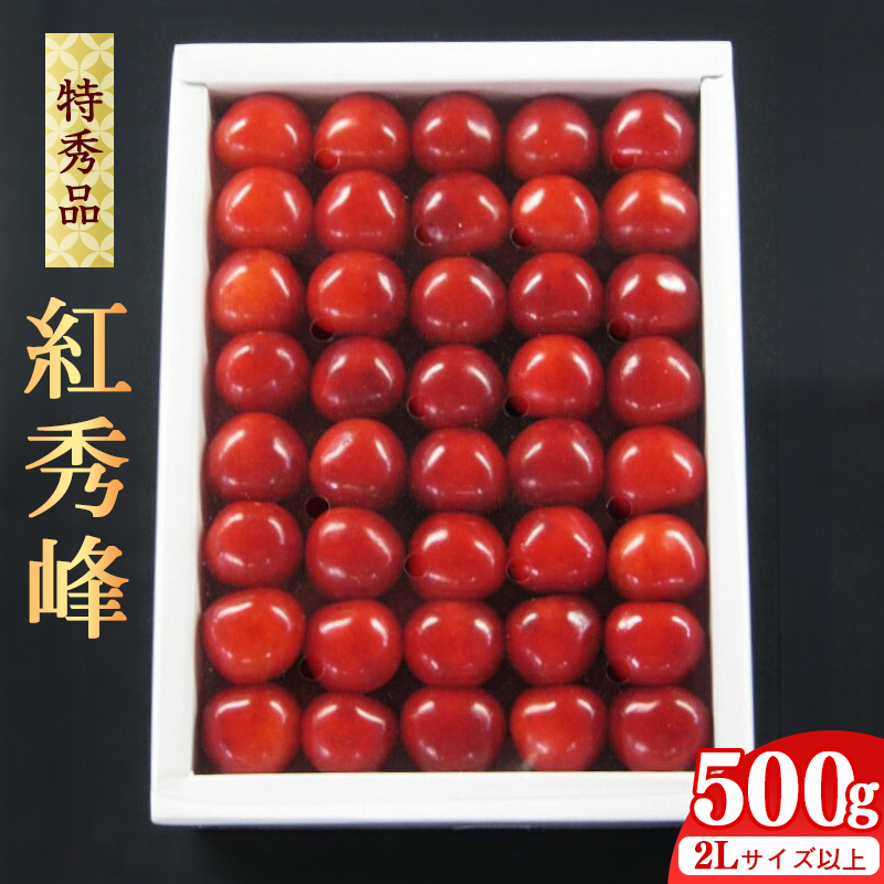 《先行予約》 令和8年産 【厳選】 さくらんぼ 「 紅秀峰 」 500g 特秀品 2L以上 化粧詰 山形県産 2026年産 【2026年6月中旬頃〜7月上旬頃発送予定】 ※配送不可 沖縄・離島 041-A-JA026山形県寒河江
