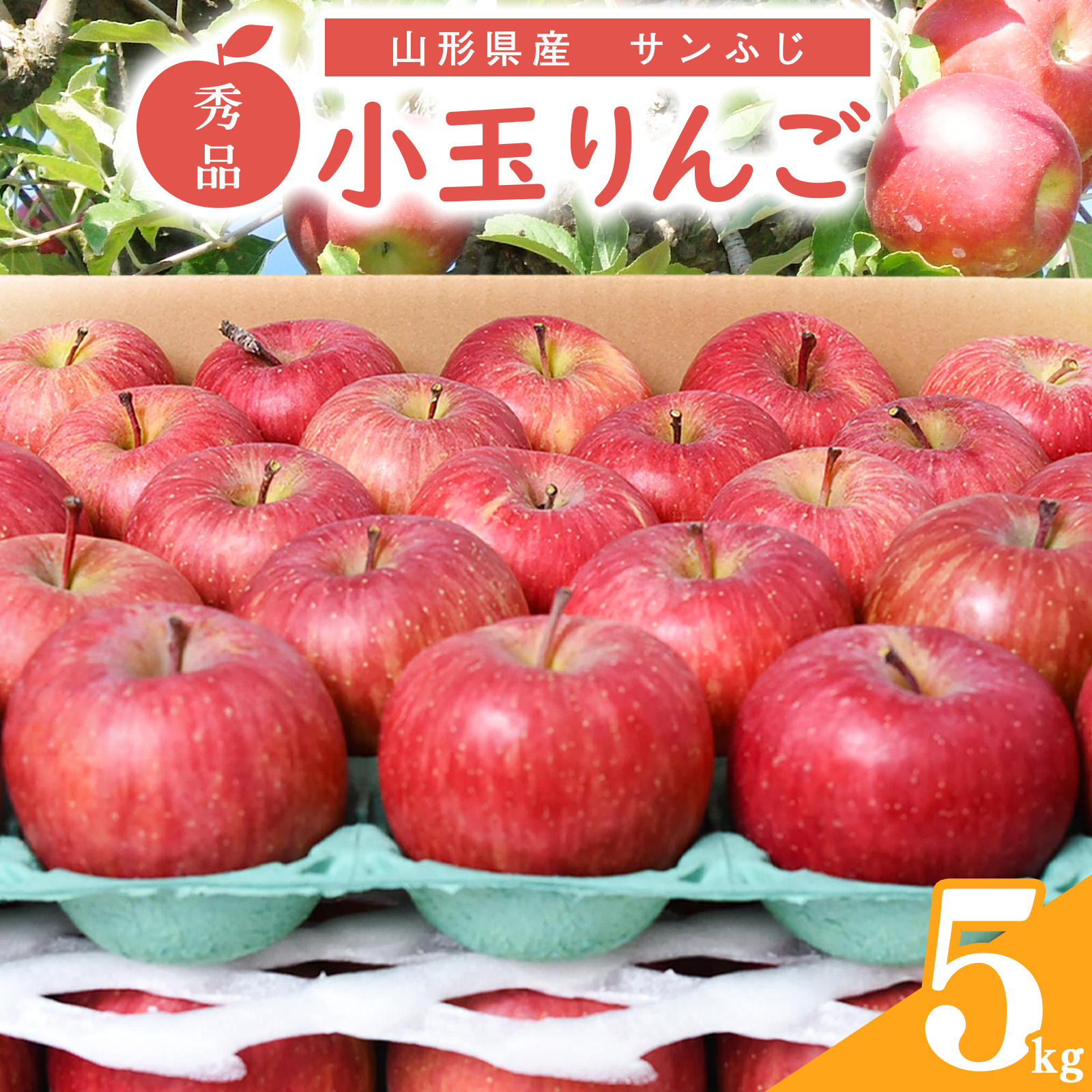【先行予約】秀品 小玉りんご「サンふじ」 5kg (20 - 25玉入)【2026年1月上旬頃〜下旬頃発送予定】 012-B-MM085山形県寒河江市12000果物・フルーツりんご・梨