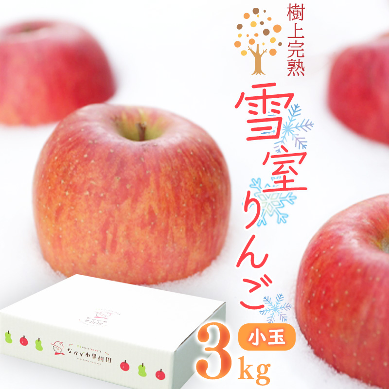 雪室りんご 3kg「樹上完熟 ふじりんご」 小玉サイズ 山形産 【2026年1月中旬頃〜3月頃 発送予定】 2025年産 令和7年産 山形県 013-B-NG001山形県寒河江市13000果物・フルーツりんご・梨