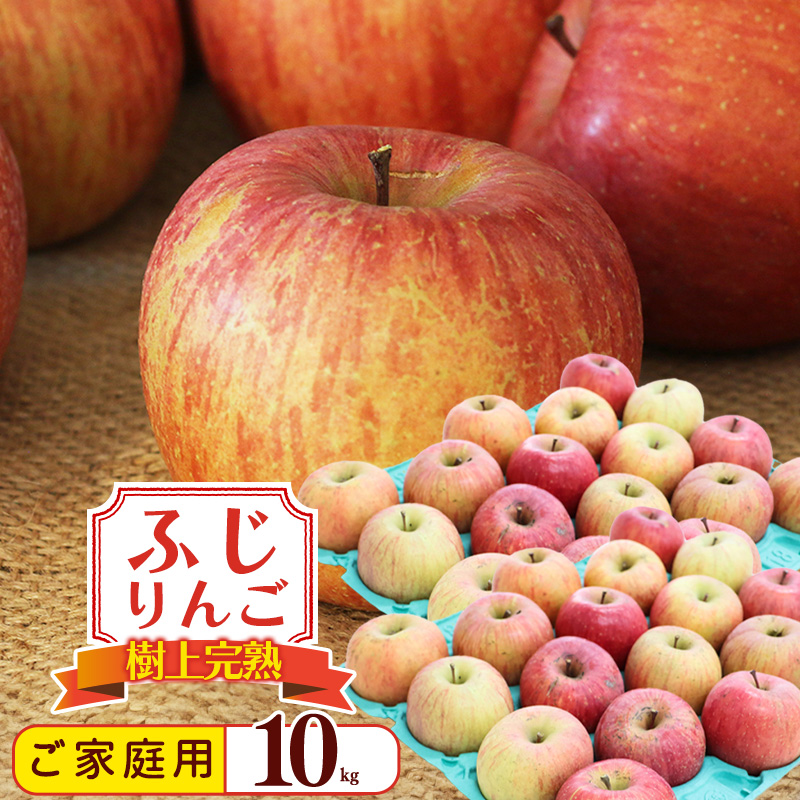 《訳あり》ご家庭用 ふじりんご 10kg 山形県産 2025年産 令和7年産 【2025年12月頃より順次発送予定】(フードロス対応・食品ロス・規格外・SDGs・生産者支援) 020-B-NG010山形県寒河江市20000果