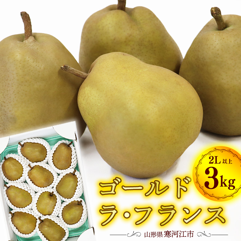 希少な金系 ゴールド ラ・フランス 3kg(8〜11玉)2Lサイズ以上 サイズおまかせ 山形県産 2025年産 令和7年産 【2025年11月上旬頃〜12月下旬頃発送予定】 015-B-OT003山形県寒河江市15000果物・フル