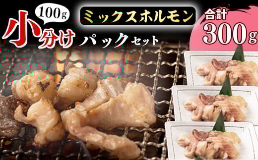 【45営業日以内配送】《 お試しにちょうどいい》焼肉店でも人気の国産牛ホルモンMIXが100g×3パック! 006-D-YL001山形県寒河江市6000肉牛肉
