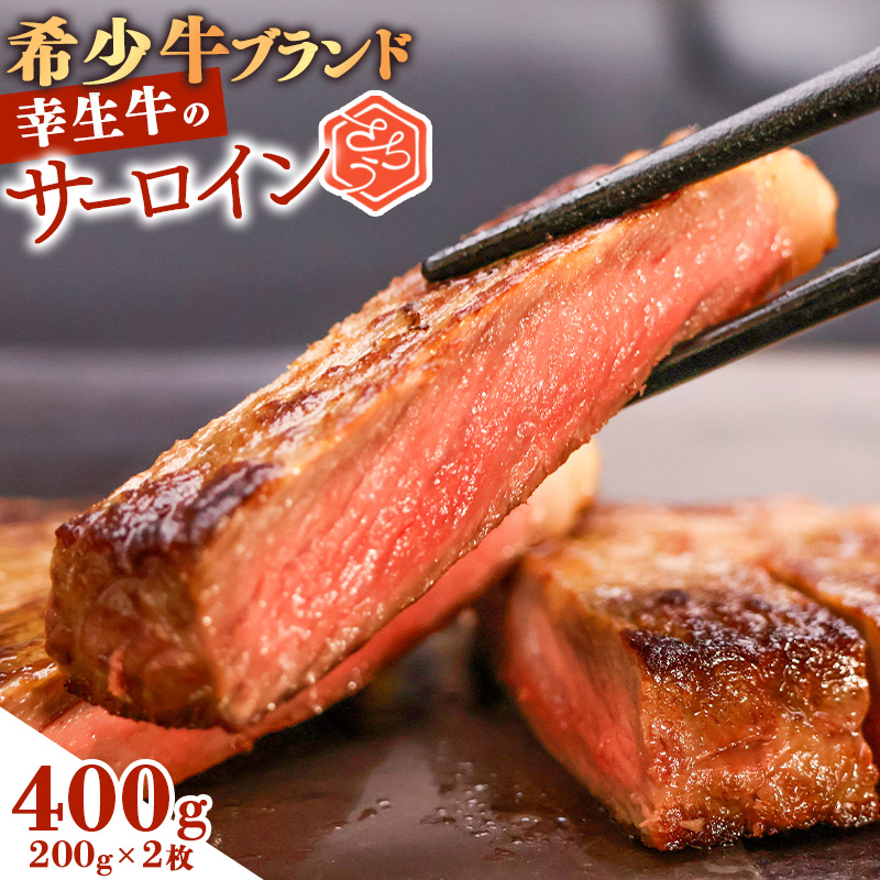 【45営業日以内配送】幸せを運ぶ牛《幸生牛》希少牛 サーロインステーキ 400g(200g×2枚) 025-D-YL038山形県寒河江市25000肉牛肉