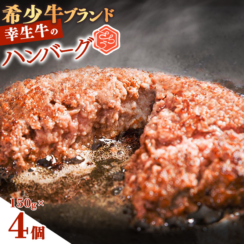 【45営業日以内配送】幸せを運ぶ牛《幸生牛》希少牛 ハンバーグ 150g×4個 008-D-YL056山形県寒河江市8000肉牛肉