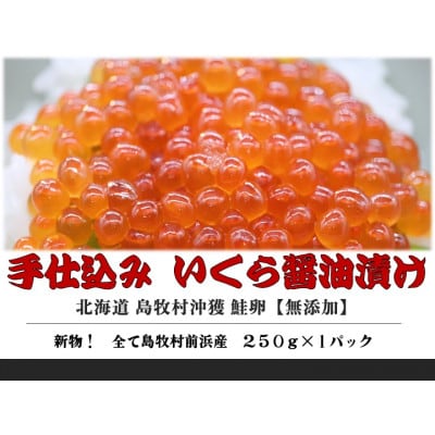 『手仕込』 いくら醤油漬け 沖獲れ鮭卵 250g×1パック【北海道 島牧村産】【配送不可地域:離島】【1451281】北海道島牧村18000魚介・海産物いくら