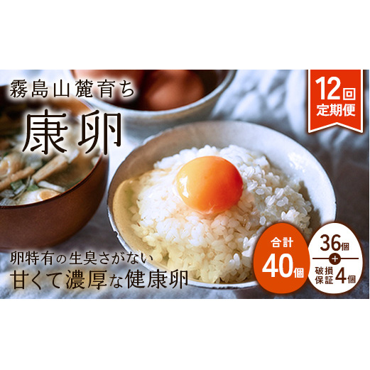 卵【12回 定期便】霧島山麓育ち こだわり卵 康卵 計40個(36個 + 割れ保証4個)12回 計 480個(432個 + 割れ保証 48個)たまご 玉子 卵焼き 玉子焼き たまご焼き 生卵 鶏卵 たまごかけごはん 国産 九