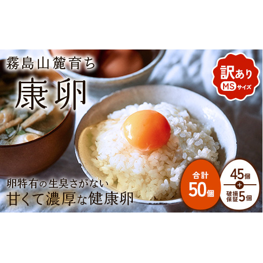 킯肽܂ N MSTCY 50i45 + ۏ 5j R[炿 藑 ܂ ʎq Ă ʎqĂ ܂Ă { ܂ {茧т̎s6200Eii{AG