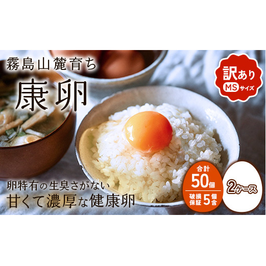 y킯zR[炿 藑 N MSTCY v 50 × 2P[X v 100i90 + ۏ 10j܂ ʎq ^}S Ă ʎqĂ ܂Ă  {   ܂