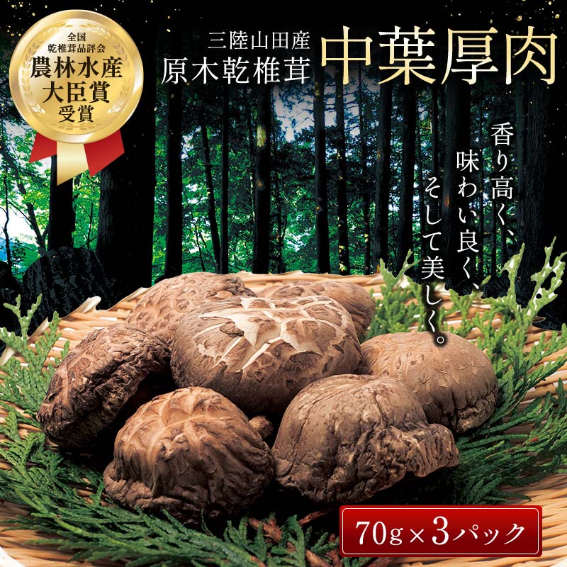 三陸山田産 原木乾椎茸「中葉厚肉」 三陸山田 山田町 野菜 きのこ きのこ名人 農林水産大臣賞 匠 YD-455岩手県山田町12000野菜・きのこきのこ