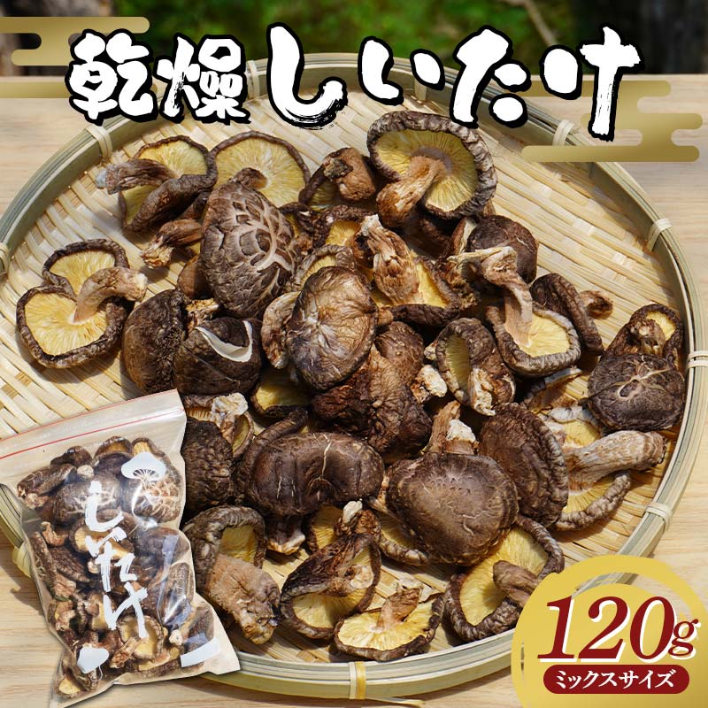 勝山さんの乾燥椎茸 120g(ミックスサイズ)岩手県山田町 三陸山田 岩手三陸産 椎茸 原木 野菜 きのこ  キノコ 食品 YD-716岩手県山田町6000野菜・きのこきのこ