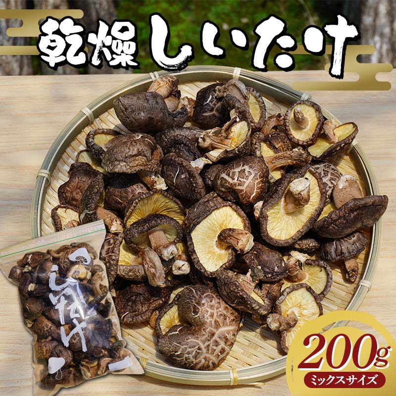R̊ő 200gi~bNXTCYj茧Rc ORc OY ő   ̂  LmR Hi YD-717茧Rc9000؁Ê̂