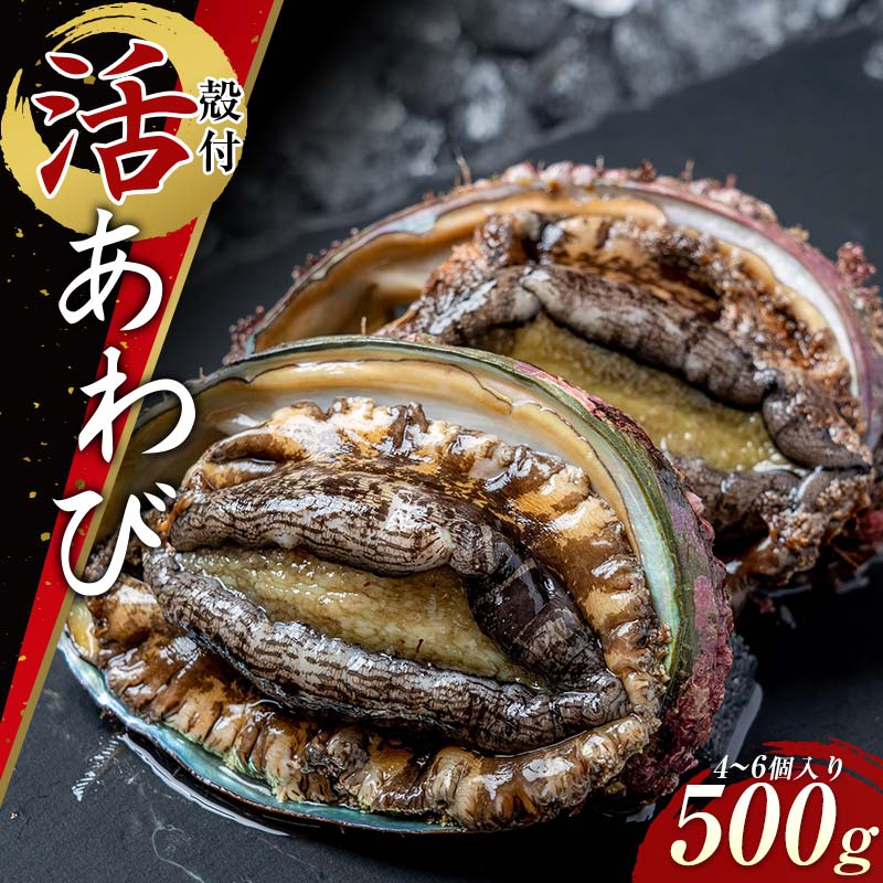 X̊ktсi2ij500g  Ar ORc ORc ORc RcY CYi VR  AXC yzwsz YD-742茧Rc20000ECYL