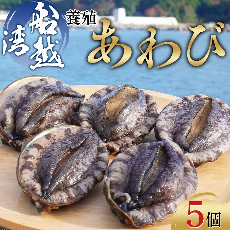三陸山田産養殖あわび約48g×5個【船越湾漁業協同組合】【配送日指定不可】【沖縄・離島配送不可】山田町 海産品 三陸産 船越湾 鮑 YD-746岩手県山田町12000魚介・海産物貝類