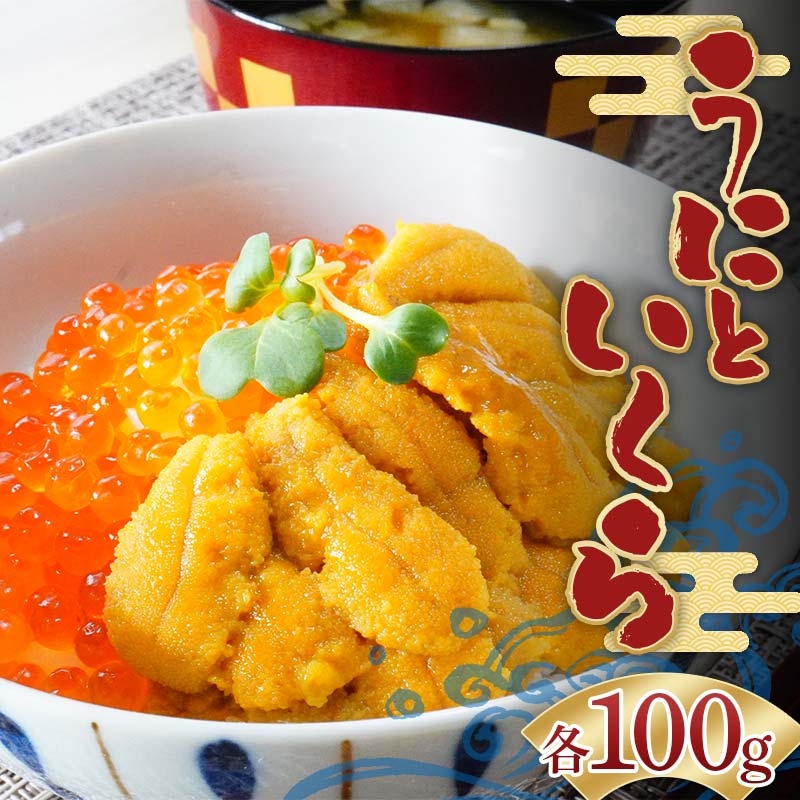 川秀のウニ&イクラセット(各100g×1パック) 三陸山田 山田町 ウニ 雲丹 海産品 通年 沖縄離島配送可 冷凍ウニ 冷凍イクラ 醤油イクラ YD-754岩手県山田町17000魚介・海産物イカ・タコ・ウニ