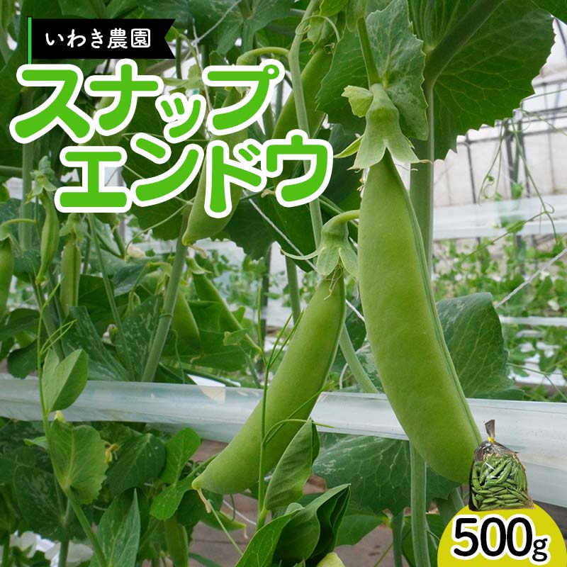 y5{`6{蔭Iz킫_̃XibvGhE 500g ORc Rc  KP L@͔| _ YD-828茧Rc5000؁Ê̑ 