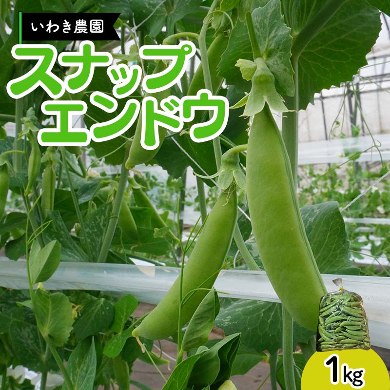 【5月中旬〜6月中旬限定発送!】いわき農園のスナップエンドウ 1kg 三陸山田 山田町 野菜 幸姫 有機栽培 無農薬 YD-829岩手県山田町10000野菜・きのこその他 野菜