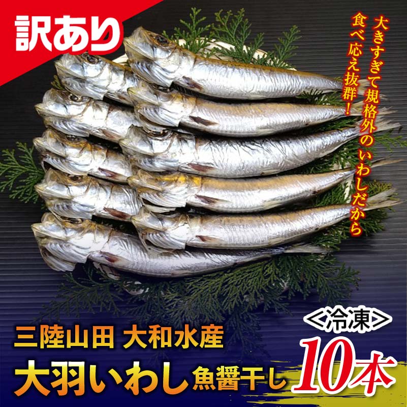 【訳あり】大和水産の大羽いわし(魚醤干し)10本 マイワシ まいわし YD-830岩手県山田町8000魚介・海産物干物