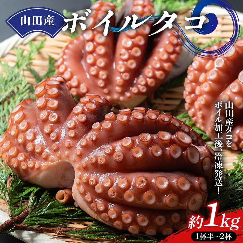川石水産の山田産ボイルタコ 1kg 三陸山田 山田町 海産品 山田湾 蛸 刺身 タコ飯 YD-876岩手県山田町15000魚介・海産物