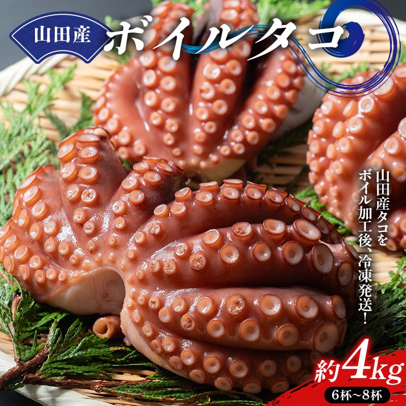 川石水産の山田産ボイルタコ 4kg 三陸山田 山田町 海産品 山田湾 蛸 刺身 タコ飯 YD-878岩手県山田町60000魚介・海産物