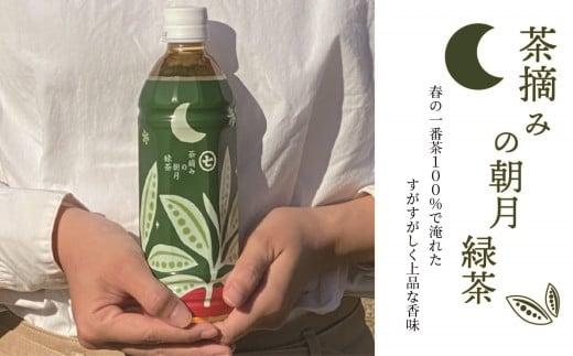 お茶 ペットボトル 500ml 24本 緑茶 一番茶 静岡茶 茶葉 人気 箱 朝摘み 朝月 常備 保存 備蓄 防災 まとめ買い 丸七製茶 ななや 静岡県 藤枝市 ふるさと人気静岡県藤枝市20000お茶・飲料