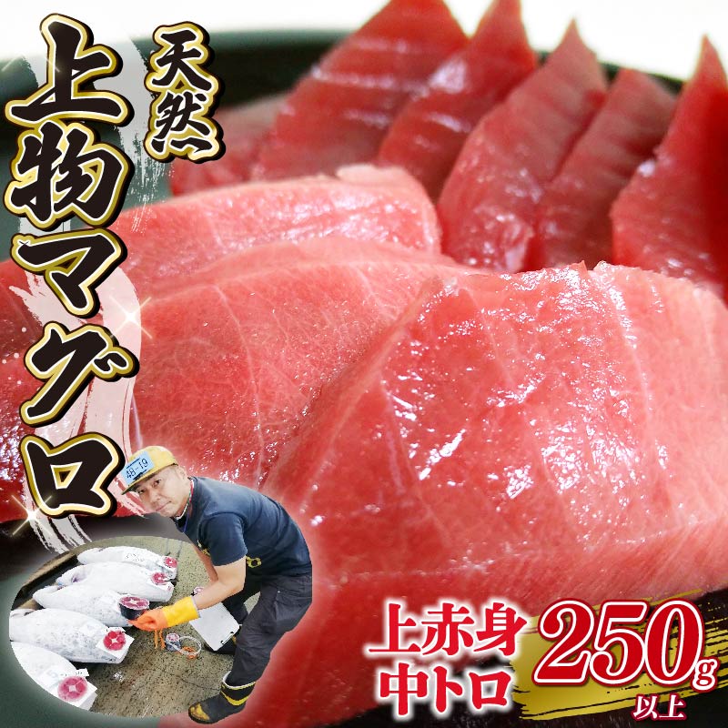 天然 マグロ 2種 250g 以上 刺身 上物 まぐろ 鮪 赤身 中トロ 冷凍 静岡県 藤枝市静岡県藤枝市17000魚介・海産物その他 魚介・海産物