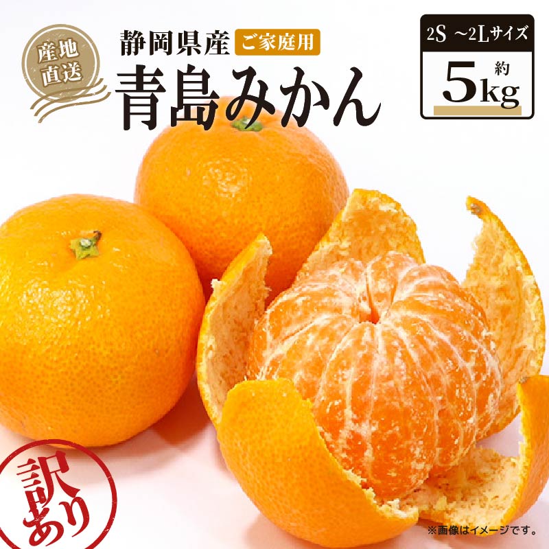 【2026年1月上旬〜順次発送】 訳あり 青島 みかん 5kg 家庭用 青島みかん 果物 国産 フルーツ 柑橘 蜜柑 期間限定 季節限定 訳あり品 大きさ 不揃い ミカン  静岡県 藤枝市静岡県藤枝市10000果物