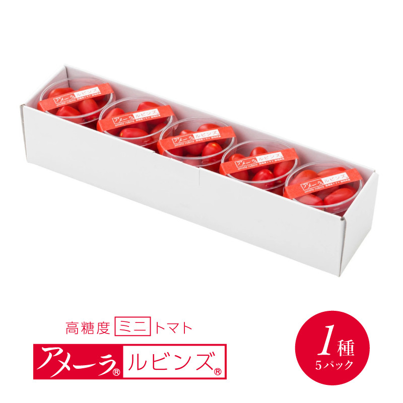 甘い ミニトマト アメーラルビンズ トマト 5パック 高糖度 10度 以上 化粧箱入り 産地 直送 新鮮 旬の 野菜 高級 フルーツトマト ジュース にも 静岡県 藤枝市静岡県藤枝市9000野菜・きのこト