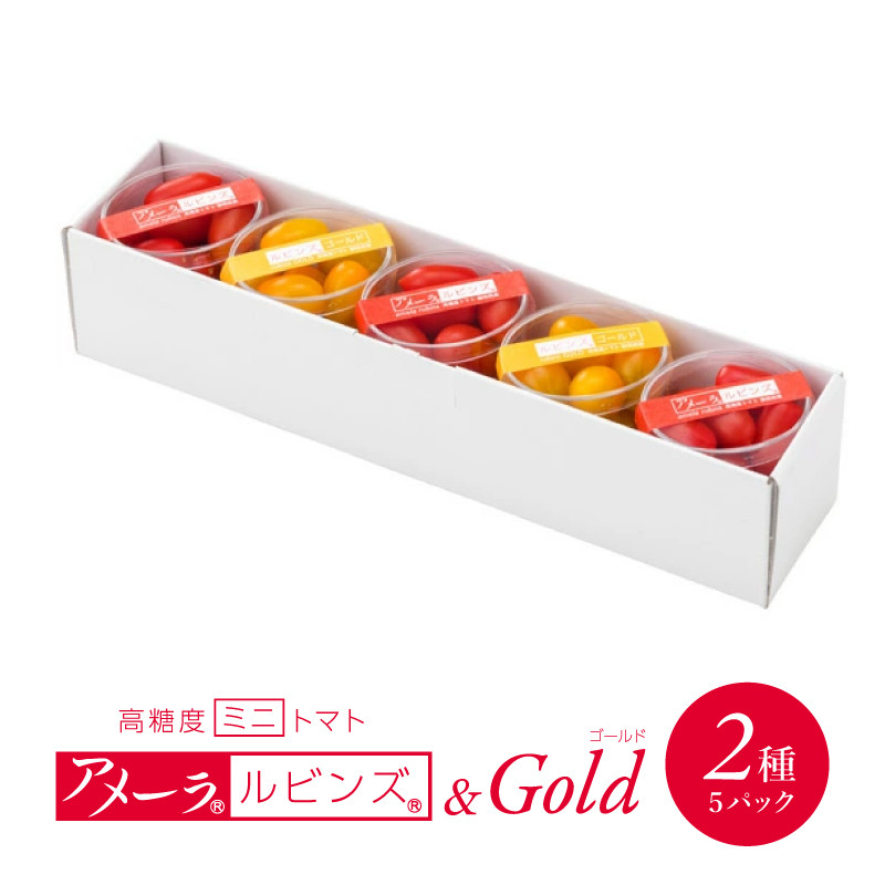 高糖度 ミニトマト アメーラルビンズ ゴールド トマト 5パック セット 糖度 10度 以上 先行予約 2026年1月より発送 化粧箱入り 産地 直送 新鮮 旬の 野菜 高級 フルーツトマト 甘い ジュース に