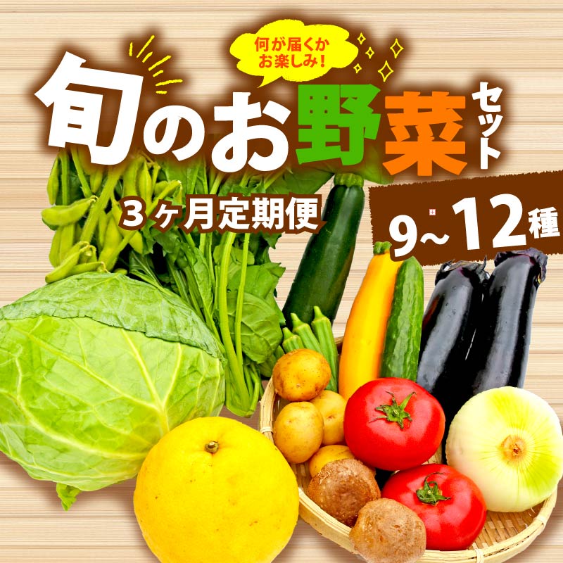 【全3回定期便】 野菜 詰め合わせ おまかせ 野菜詰合せ (9〜12種) 野菜 詰合せ 9〜12種 おまかせ 旬 まんさいかん ボックス 静岡県 藤枝市 (人気野菜 ふるさと納税野菜 ふるさと野菜 furusato