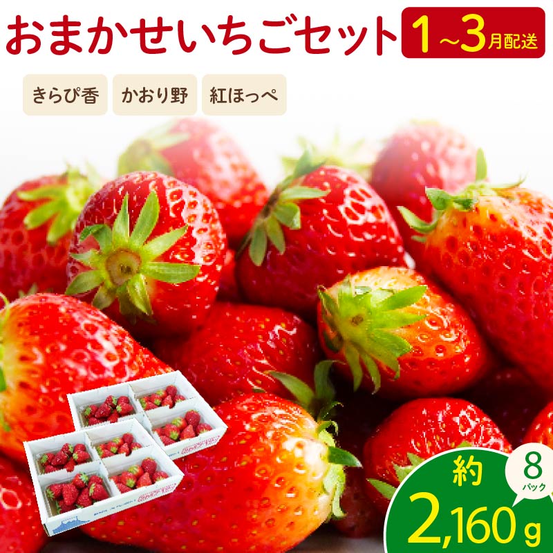 【先行予約 2026年01月より順次発送】 いちご 2kg 以上 おまかせ 苺 旬 産地 直送 フレッシュ イチゴ 紅ほっぺ きらぴ香 かおり野 フルーツ 果物 国産 ジャパンベリー オンライン決済限定 静岡